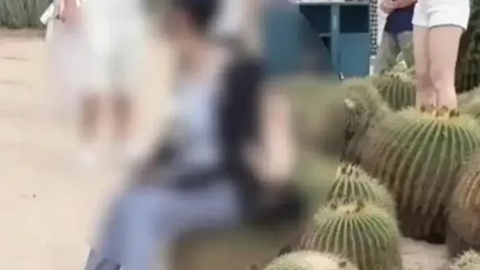 厦门植物园那句「成年人为自己行为负责」，到底在回应什么