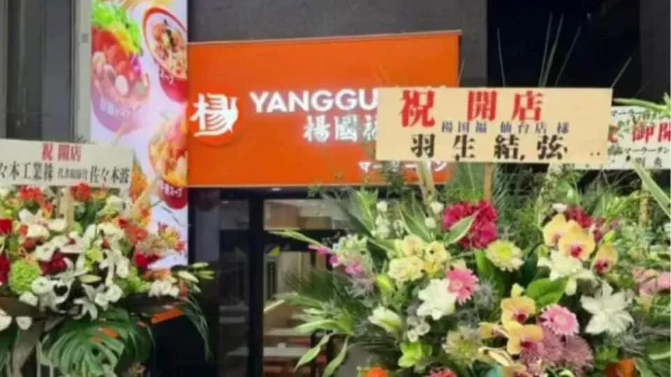 杨国福冒用羽生结弦摆花篮爆料拆解：侵权实锤了吗