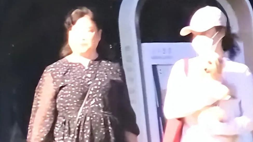 袁姗姗开车三件事盘点：违停、忘打灯、网友较真都咋回事