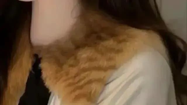 玉毛起底：化妆刷行业给猫毛换了名，商家只答「不清楚」