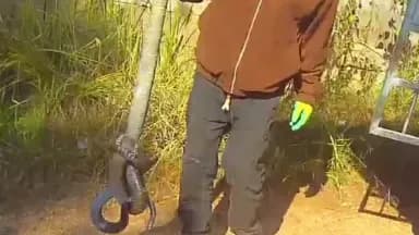 玉溪大爷徒手抓两米眼镜王蛇：民警当场怎么说