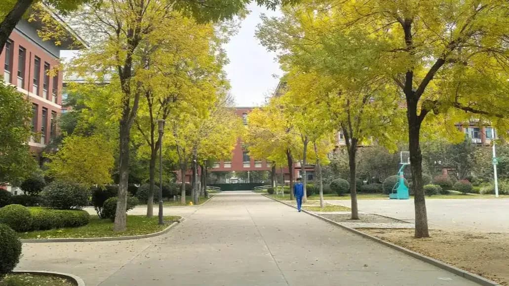 砸30万冲到702.5分,转身报职校:一家人图的是什么