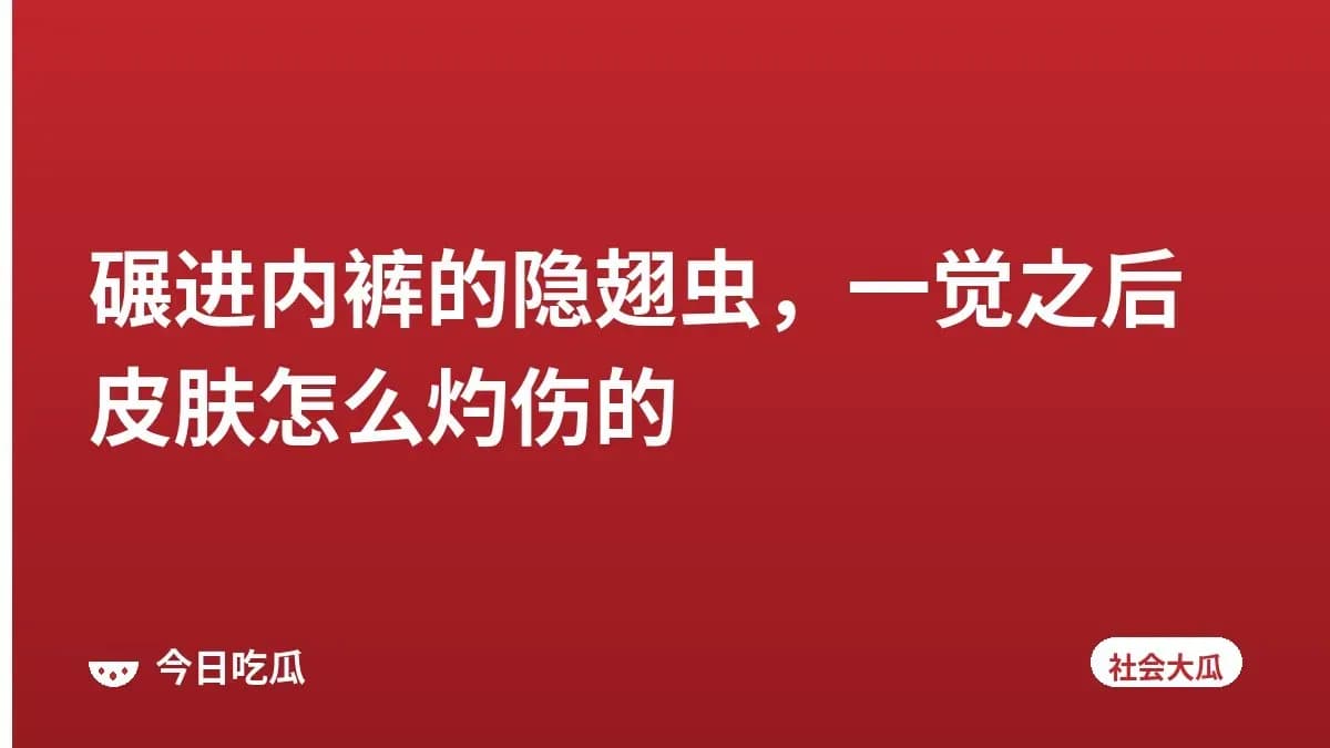 碾进内裤的隐翅虫,一觉之后皮肤怎么灼伤的
