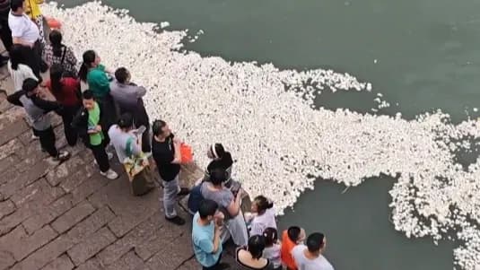 宜宾合江门馒头漂满江面,有没有实锤?四条说法求证