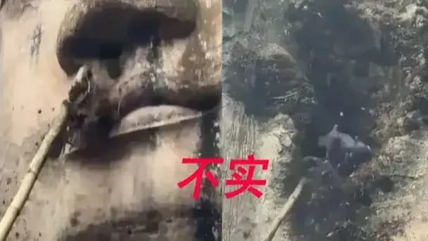 乐山大佛掏耳朵视频来龙去脉:保养期、辟谣和AI生成,一条时间线捋清