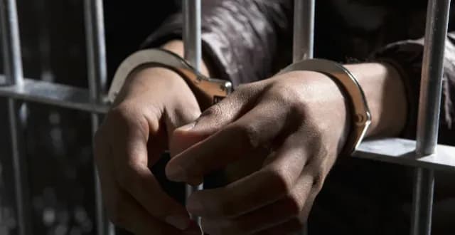 菲律宾杀猪盘窝点起底:255人被捕,两名中国籍老板在哪