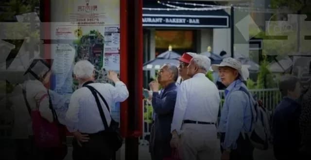 北京野生动物园「拼老人」帖:年轻人省钱新招从哪冒出来