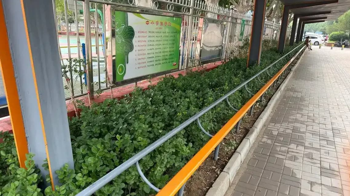 撑起一根横杆当长椅:顺义小学门口这道风景怎么火的